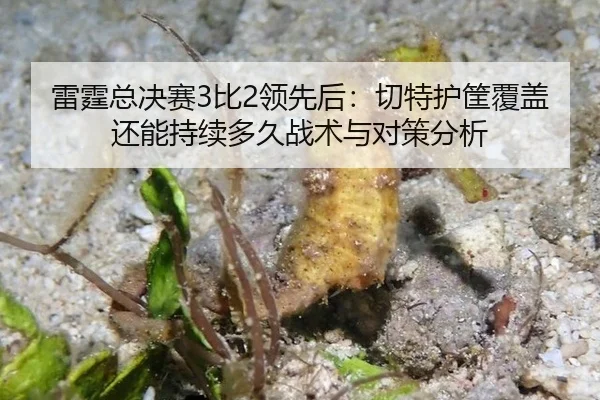 lei-ting-zong-jue-sai-bi-ling-xian-hou-qie-te-hu-kuang-fu-gai-hai-neng-chi-xu-duo-jiu-zhan-shu-yu-dui-ce-fen-xi-2-360.jpg